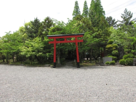画像61